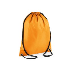 Budget Gymsac
