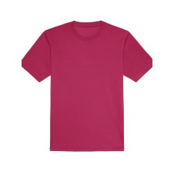 Cool T